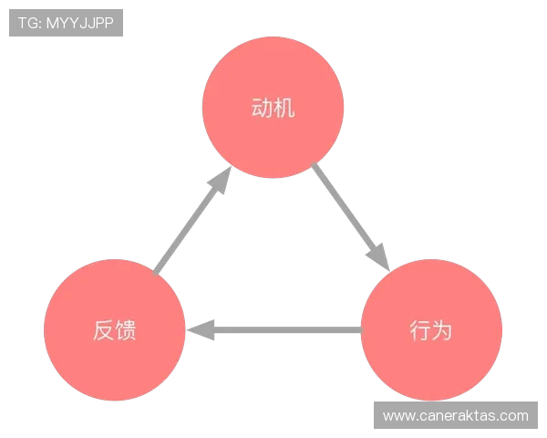掌握K8凯发平台开户技巧提升游戏体验与盈利能力